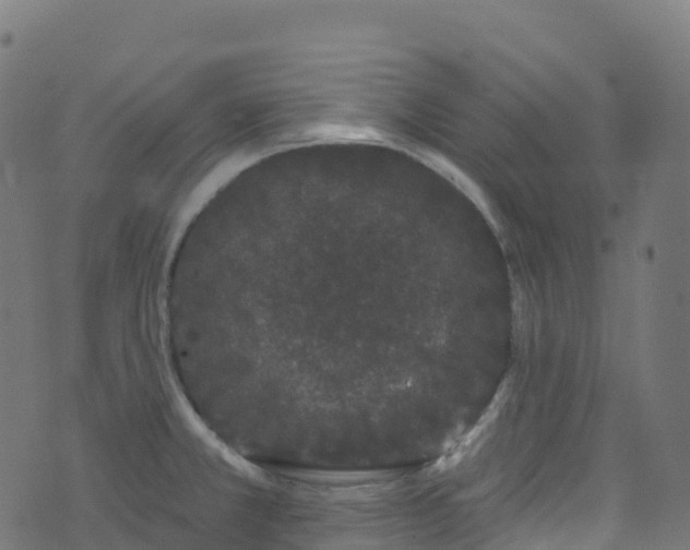 X0000070881381200606231332