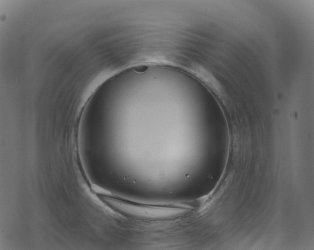 X0000070881382200606231332