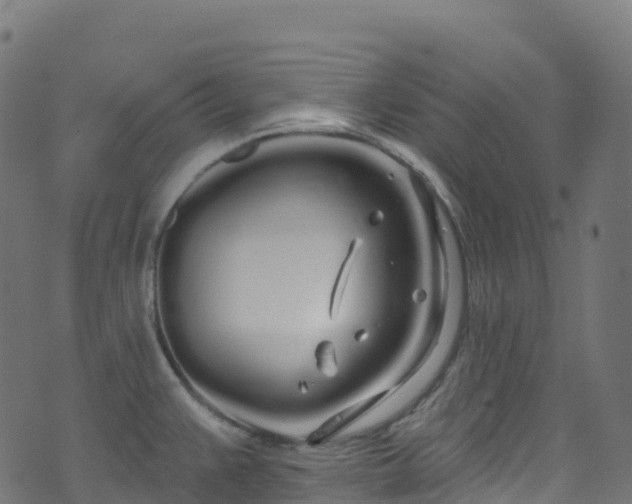 X0000070881383200606231332