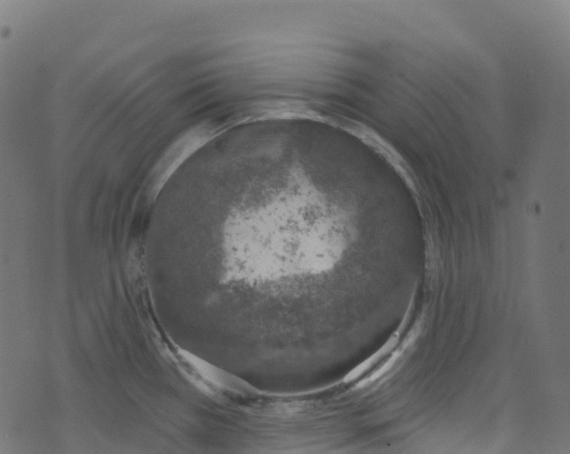 X0000070881385200606231332