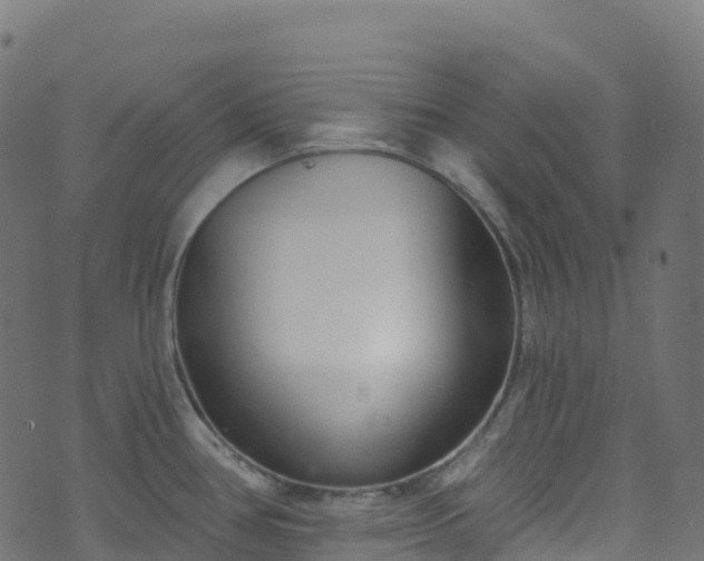 X0000070881386200606231332