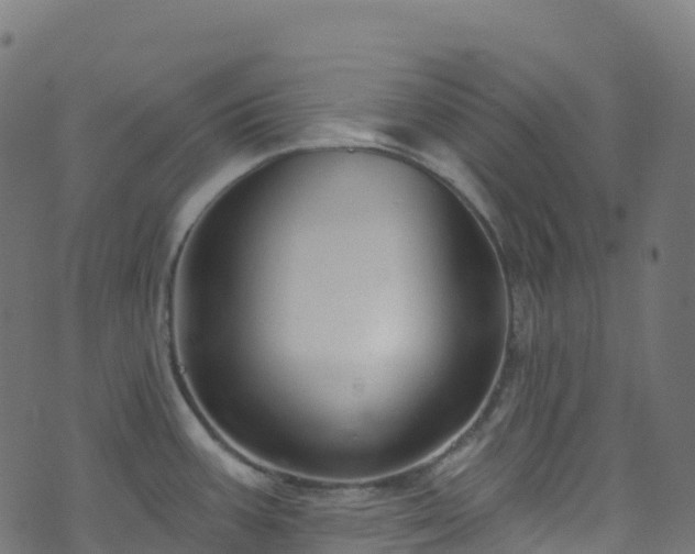 X0000070881387200606231332