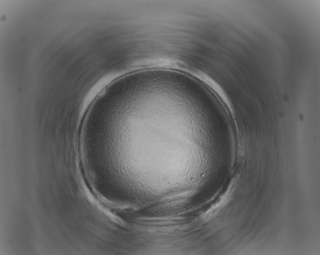 X0000070881389200606231332