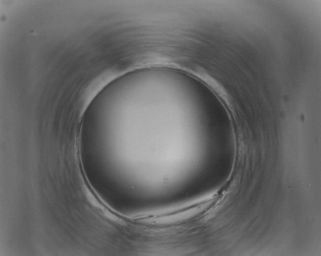 X0000070881390200606231332