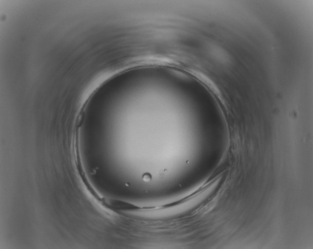 X0000070881391200606231332