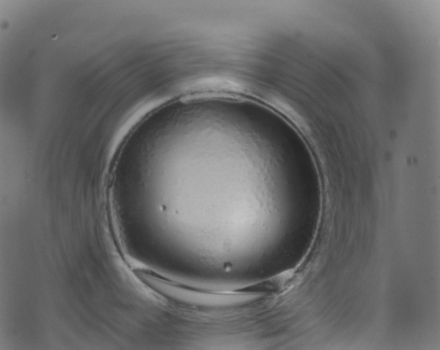 X0000070881392200606231332