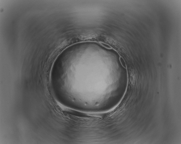 X0000070881393200606231331