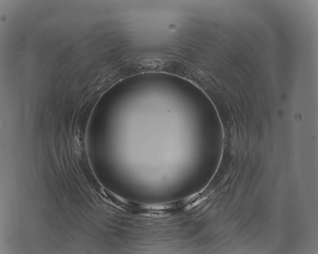 X0000070881394200606231331