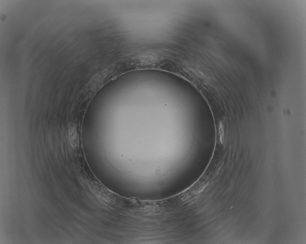 X0000070881395200606231331