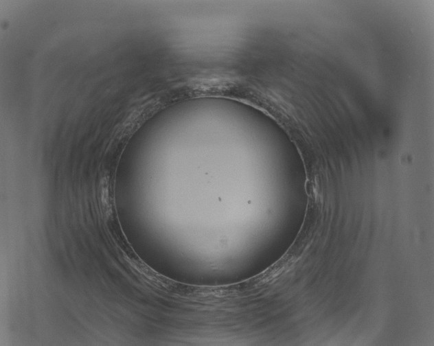 X0000070881396200606231331