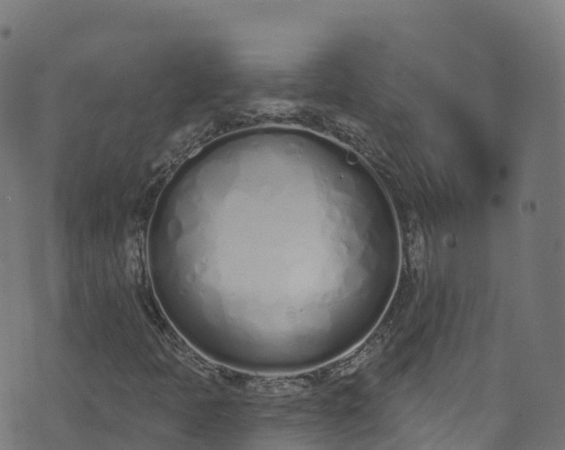 X0000070881397200606231331