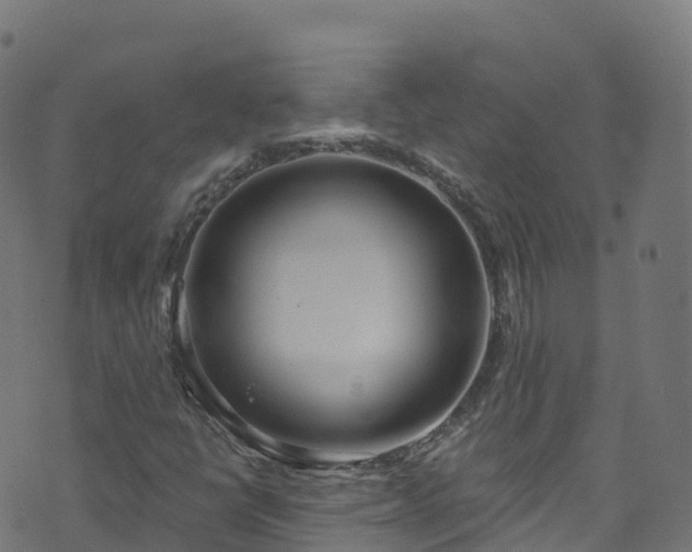 X0000070881398200606231331