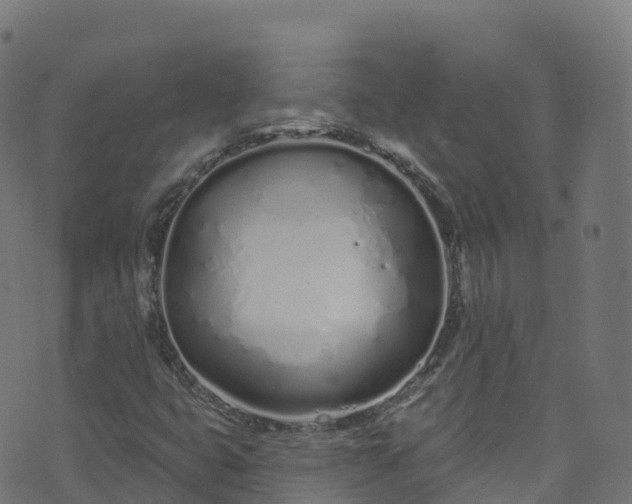 X0000070881399200606231331