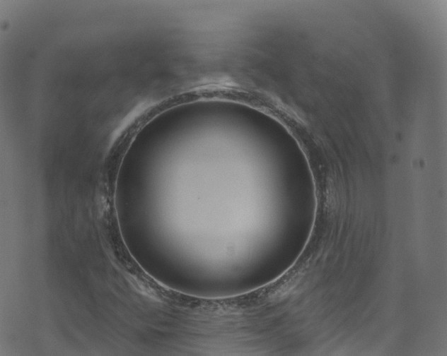 X0000070881400200606231331