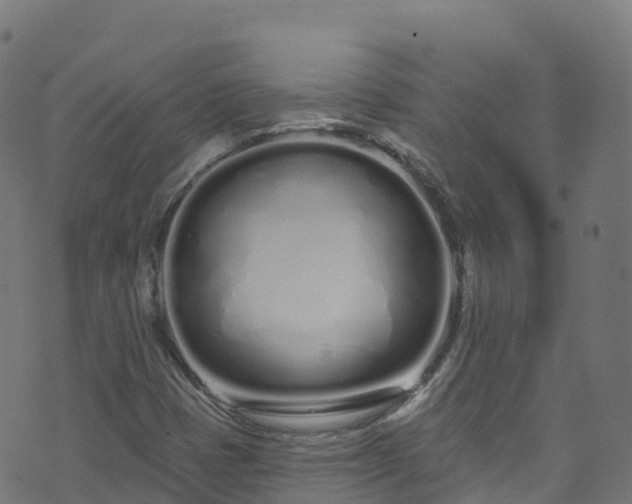 X0000070881401200606231331