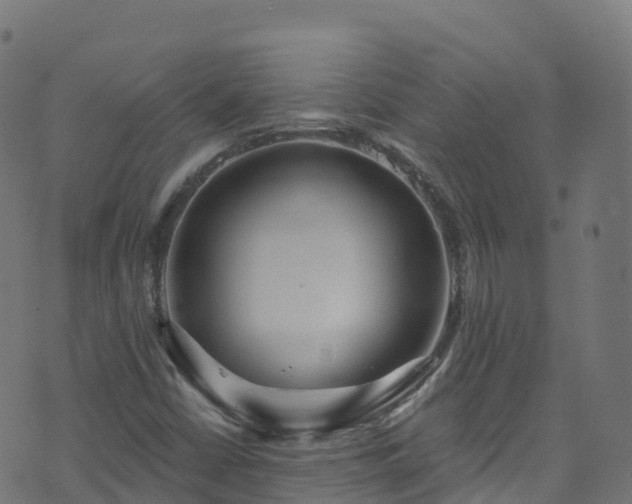 X0000070881402200606231331