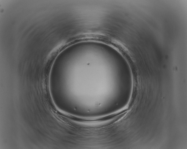 X0000070881403200606231331