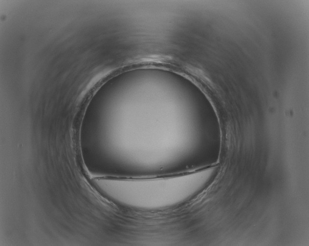 X0000070881404200606231331