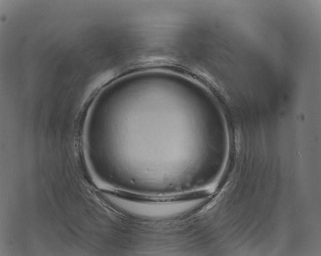 X0000070881405200606231331