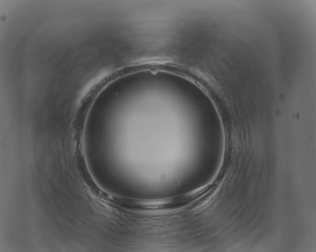 X0000070881406200606231331