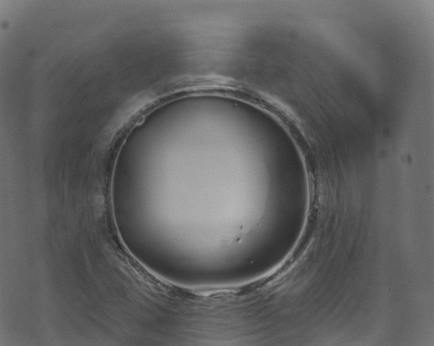 X0000070881407200606231331