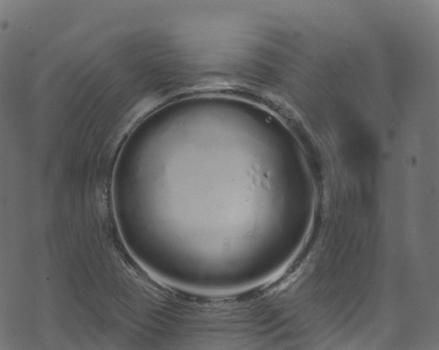 X0000070881409200606231331