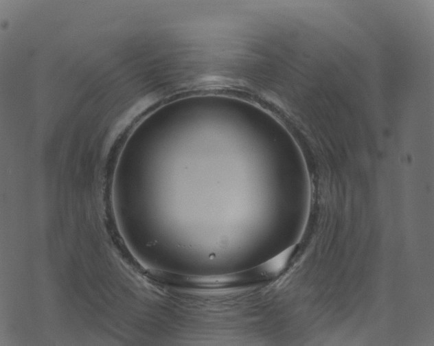 X0000070881410200606231331