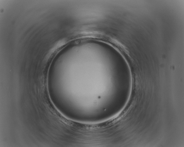 X0000070881411200606231331