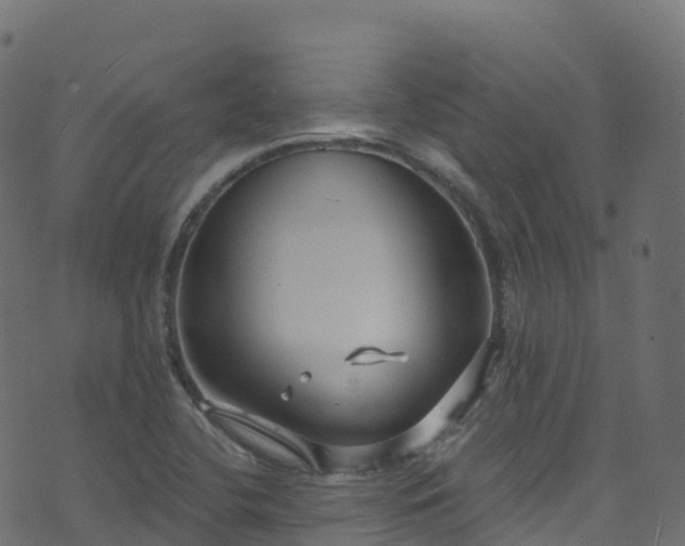 X0000070881412200606231331