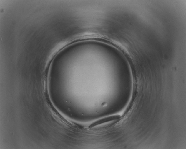 X0000070881413200606231331