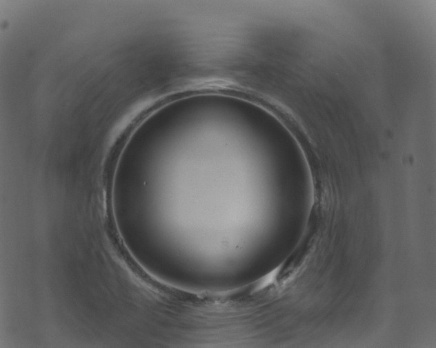 X0000070881414200606231331