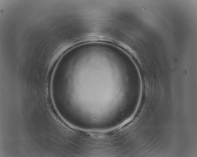 X0000070881415200606231331