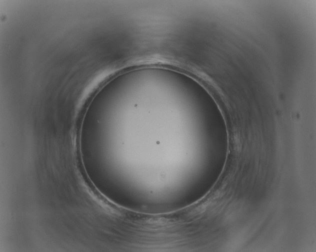 X0000070881416200606231331