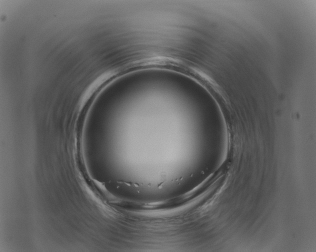 X0000070881418200606231331