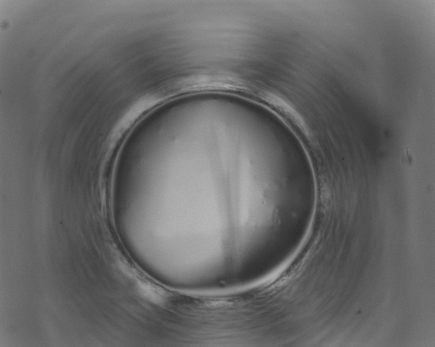 X0000070881419200606231331