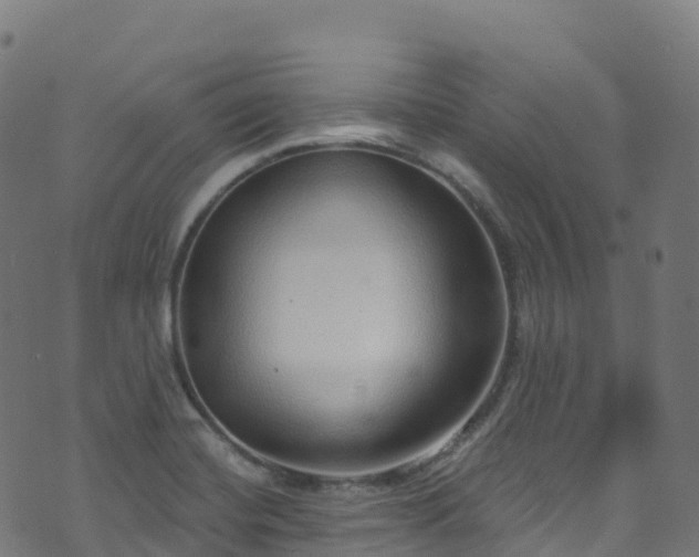 X0000070881420200606231331