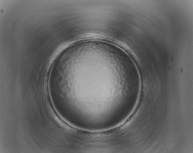 X0000070881421200606231331