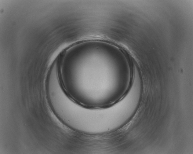 X0000070881422200606231331