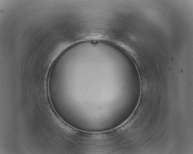 X0000070881423200606231331