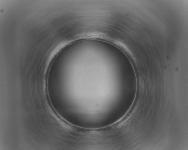 X0000070881424200606231331