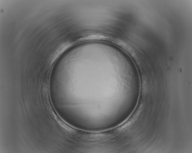 X0000070881425200606231331