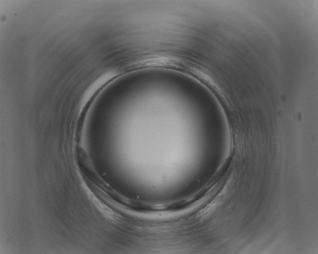 X0000070881426200606231331