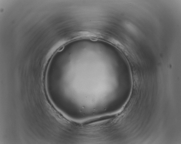 X0000070881427200606231331