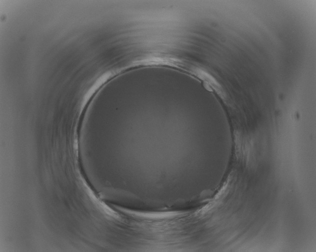 X0000070881428200606231331