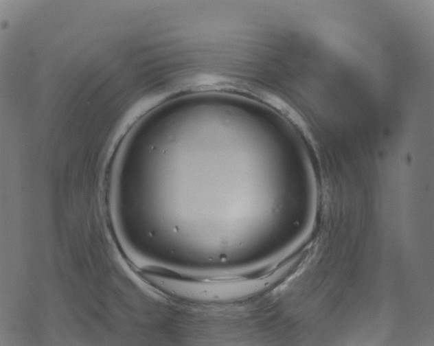 X0000070881429200606231331