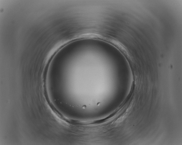 X0000070881430200606231331