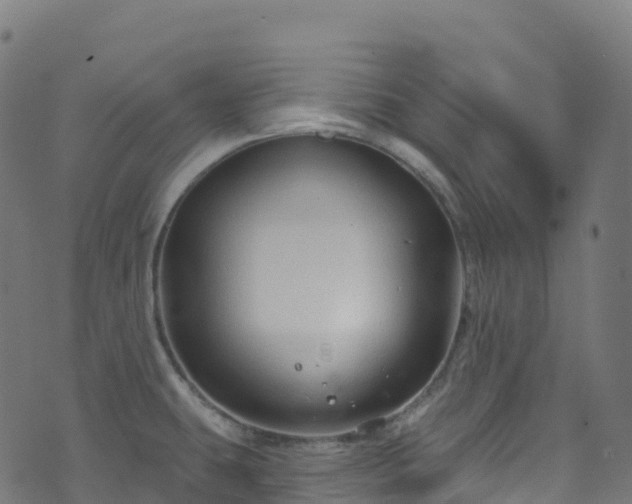 X0000070881431200606231332