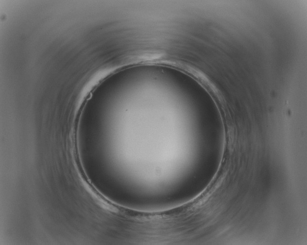 X0000070881432200606231332