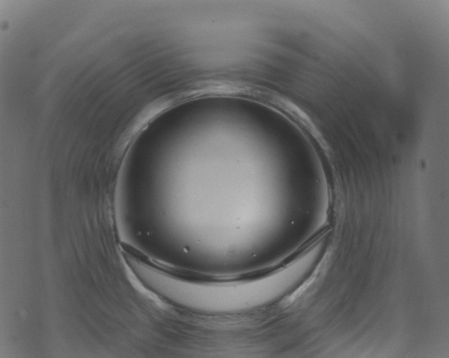 X0000070881433200606231332