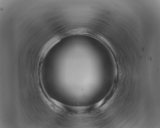 X0000070881434200606231332